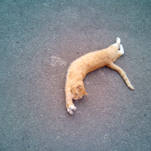 一级黄色片快播强奸
