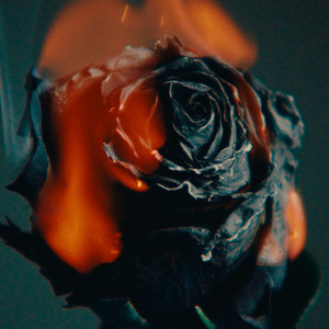 一级黄色片快播强奸
