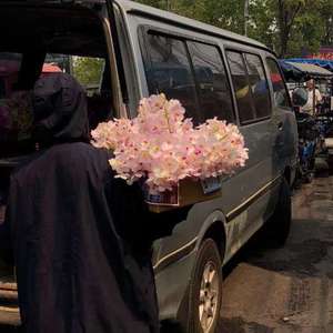 一级黄色片快播强奸
